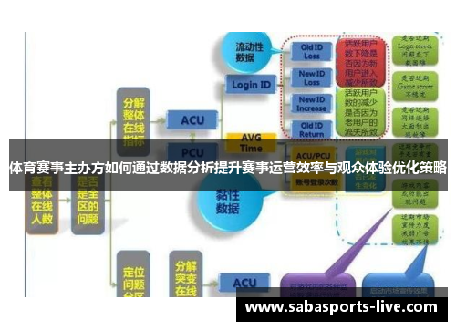 体育赛事主办方如何通过数据分析提升赛事运营效率与观众体验优化策略